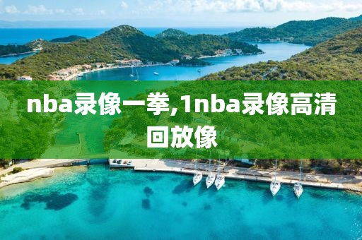 nba录像一拳,1nba录像高清回放像-第1张图片-98直播吧