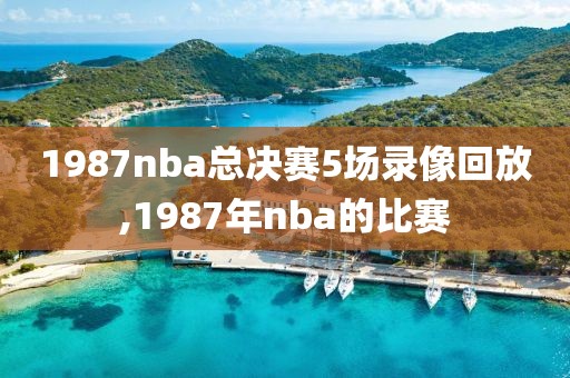 1987nba总决赛5场录像回放,1987年nba的比赛-第1张图片-98直播吧