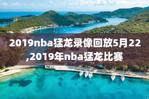 2019nba猛龙录像回放5月22,2019年nba猛龙比赛-第1张图片-98直播吧