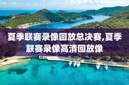 夏季联赛录像回放总决赛,夏季联赛录像高清回放像-第1张图片-98直播吧