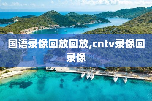 国语录像回放回放,cntv录像回录像-第1张图片-98直播吧