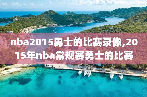 nba2015勇士的比赛录像,2015年nba常规赛勇士的比赛-第1张图片-98直播吧