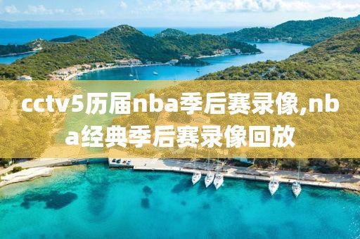 cctv5历届nba季后赛录像,nba经典季后赛录像回放-第1张图片-98直播吧