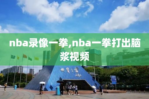 nba录像一拳,nba一拳打出脑浆视频-第1张图片-98直播吧