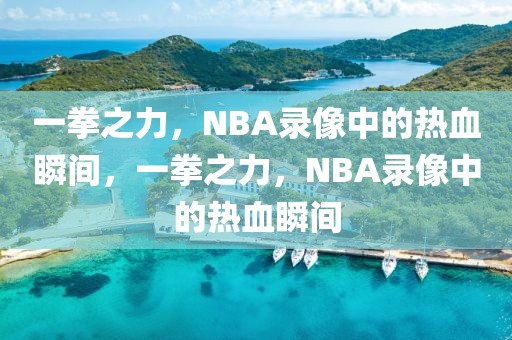 一拳之力，NBA录像中的热血瞬间，一拳之力，NBA录像中的热血瞬间-第1张图片-98直播吧