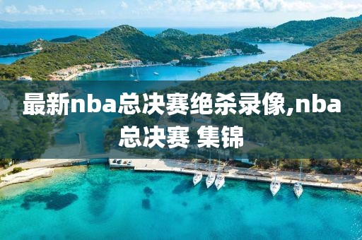 最新nba总决赛绝杀录像,nba总决赛 集锦-第1张图片-98直播吧