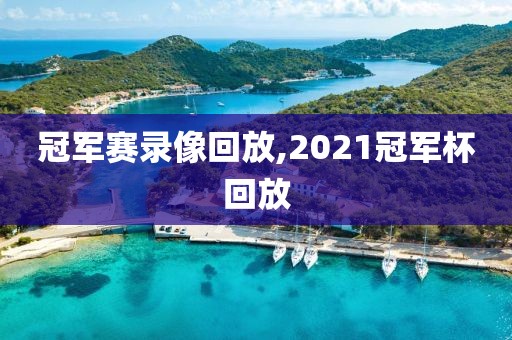 冠军赛录像回放,2021冠军杯回放-第1张图片-98直播吧