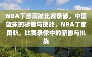 NBA丁彦雨航比赛录像，中国篮球的骄傲与挑战，NBA丁彦雨航，比赛录像中的骄傲与挑战