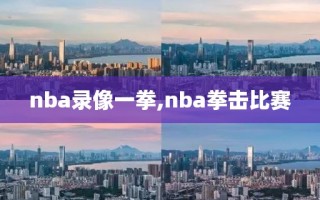 nba录像一拳,nba拳击比赛