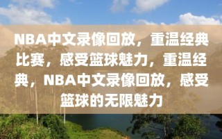 NBA中文录像回放，重温经典比赛，感受篮球魅力，重温经典，NBA中文录像回放，感受篮球的无限魅力