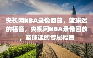 央视网NBA录像回放，篮球迷的福音，央视网NBA录像回放，篮球迷的专属福音