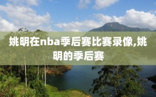 姚明在nba季后赛比赛录像,姚明的季后赛