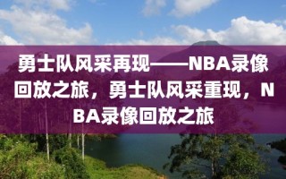 勇士队风采再现——NBA录像回放之旅，勇士队风采重现，NBA录像回放之旅