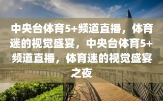 中央台体育5+频道直播，体育迷的视觉盛宴，中央台体育5+频道直播，体育迷的视觉盛宴之夜