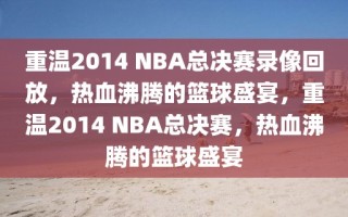 重温2014 NBA总决赛录像回放，热血沸腾的篮球盛宴，重温2014 NBA总决赛，热血沸腾的篮球盛宴