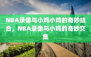 NBA录像与小鸡小鸡的奇妙结合，NBA录像与小鸡的奇妙交集