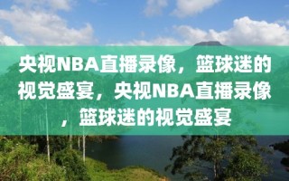 央视NBA直播录像，篮球迷的视觉盛宴，央视NBA直播录像，篮球迷的视觉盛宴