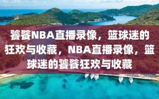 饕餮NBA直播录像，篮球迷的狂欢与收藏，NBA直播录像，篮球迷的饕餮狂欢与收藏