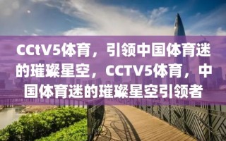 CCtV5体育，引领中国体育迷的璀璨星空，CCTV5体育，中国体育迷的璀璨星空引领者