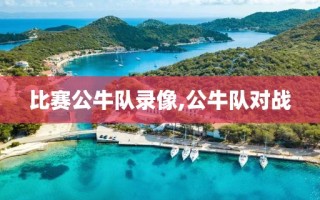 比赛公牛队录像,公牛队对战