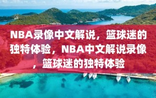 NBA录像中文解说，篮球迷的独特体验，NBA中文解说录像，篮球迷的独特体验