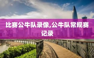 比赛公牛队录像,公牛队常规赛记录