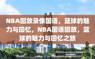 NBA回放录像国语，篮球的魅力与回忆，NBA国语回放，篮球的魅力与回忆之旅