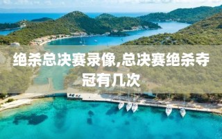 绝杀总决赛录像,总决赛绝杀夺冠有几次