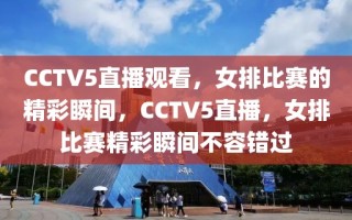 CCTV5直播观看，女排比赛的精彩瞬间，CCTV5直播，女排比赛精彩瞬间不容错过