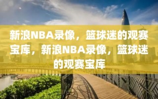 新浪NBA录像，篮球迷的观赛宝库，新浪NBA录像，篮球迷的观赛宝库