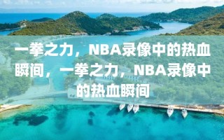 一拳之力，NBA录像中的热血瞬间，一拳之力，NBA录像中的热血瞬间