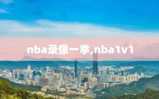 nba录像一拳,nba1v1