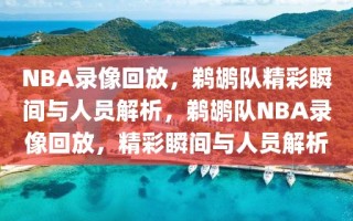 NBA录像回放，鹈鹕队精彩瞬间与人员解析，鹈鹕队NBA录像回放，精彩瞬间与人员解析