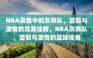 NBA录像中的灰熊队，坚韧与激情的完美诠释，NBA灰熊队，坚韧与激情的篮球传奇