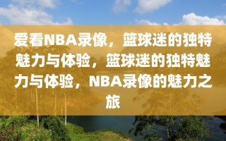 爱看NBA录像，篮球迷的独特魅力与体验，篮球迷的独特魅力与体验，NBA录像的魅力之旅