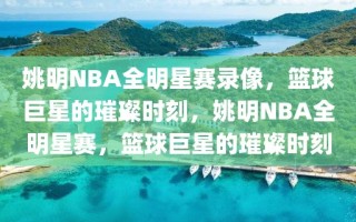 姚明NBA全明星赛录像，篮球巨星的璀璨时刻，姚明NBA全明星赛，篮球巨星的璀璨时刻