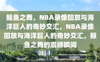 鲸鱼之舞，NBA录像回放与海洋巨人的奇妙交汇，NBA录像回放与海洋巨人的奇妙交汇，鲸鱼之舞的震撼瞬间