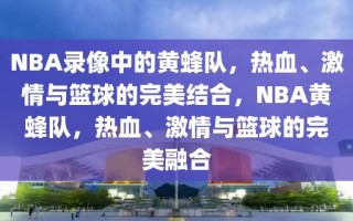 NBA录像中的黄蜂队，热血、激情与篮球的完美结合，NBA黄蜂队，热血、激情与篮球的完美融合