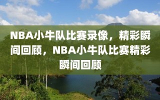 NBA小牛队比赛录像，精彩瞬间回顾，NBA小牛队比赛精彩瞬间回顾