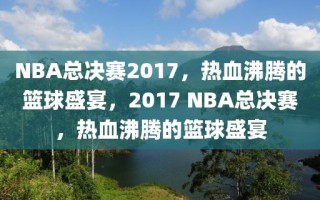 NBA总决赛2017，热血沸腾的篮球盛宴，2017 NBA总决赛，热血沸腾的篮球盛宴