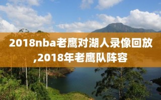 2018nba老鹰对湖人录像回放,2018年老鹰队阵容