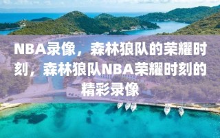 NBA录像，森林狼队的荣耀时刻，森林狼队NBA荣耀时刻的精彩录像