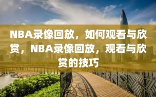 NBA录像回放，如何观看与欣赏，NBA录像回放，观看与欣赏的技巧