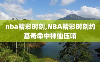 nba精彩时刻,NBA精彩时刻约基奇命中神仙压哨