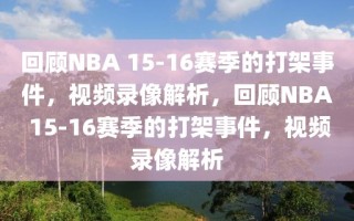 回顾NBA 15-16赛季的打架事件，视频录像解析，回顾NBA 15-16赛季的打架事件，视频录像解析